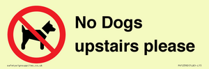 No Dogs upstairs please 
